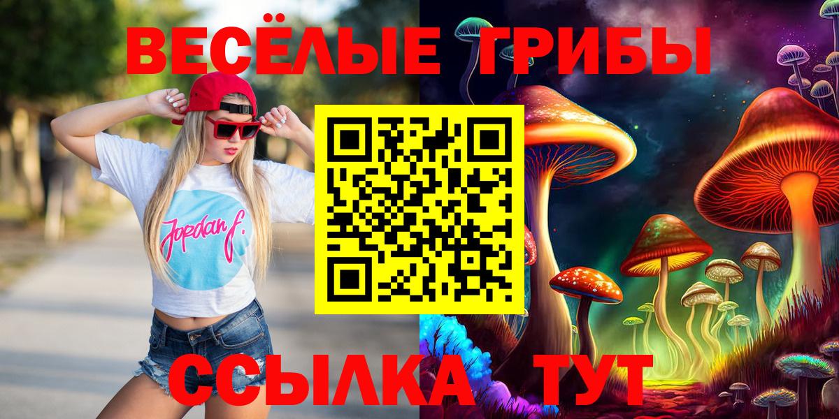 Галлюциногенные грибы Psilocybe  Псилоцибиновые грибы ЛСД  Вход с VPN  Мончегорск 